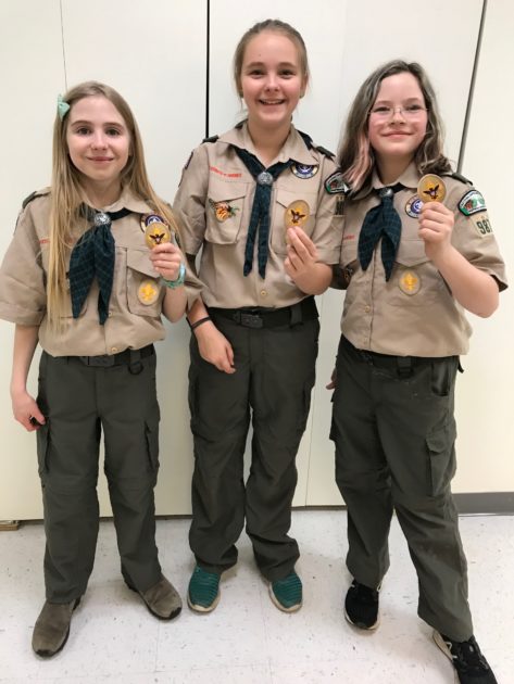 Vienna’s Girls Troop 987 Starts a “New Scout Quest” – We Own Adventure